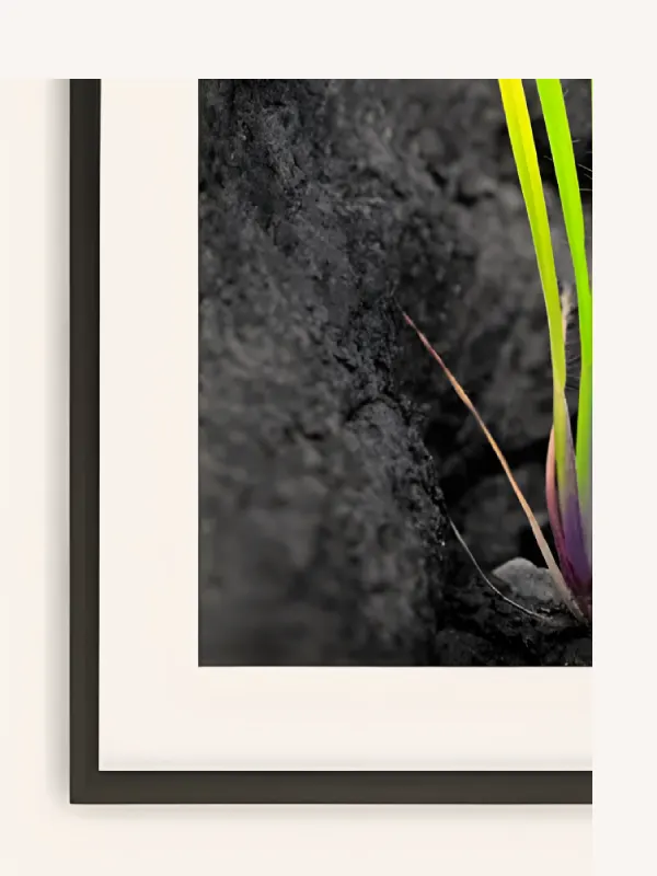 Classic Frame with Mount